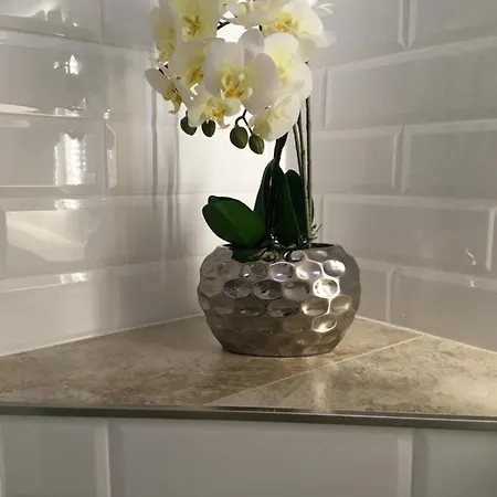 Am Alten Hafen - Ostseebad *